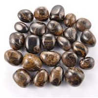 Stromatolite Tumbled Stones [Medium]