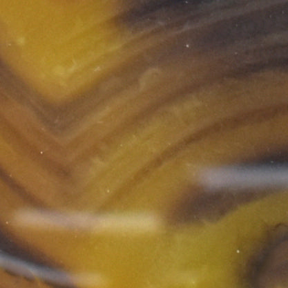 Dark Natural Agate Palm Stone