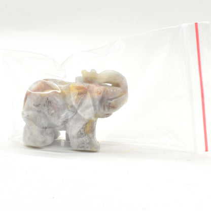 White Crazy Lace Agate Elephant Carving