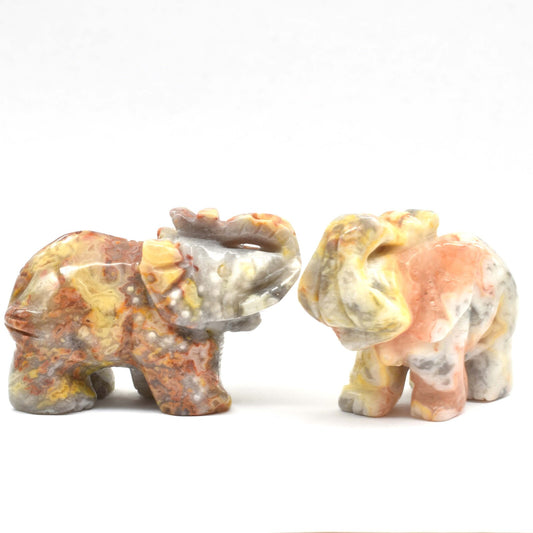 Crazy Lace Agate Elephant Carving
