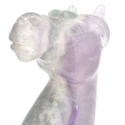 Rainbow Fluorite Horse Head Carving
