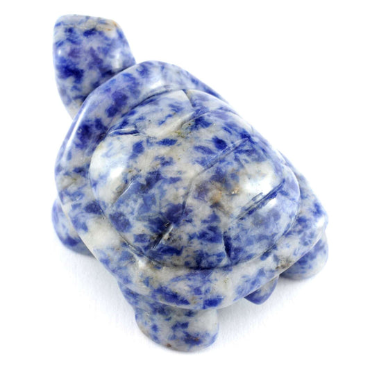 Sodalite Turtle Carving