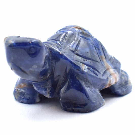 Sodalite Turtle Carving