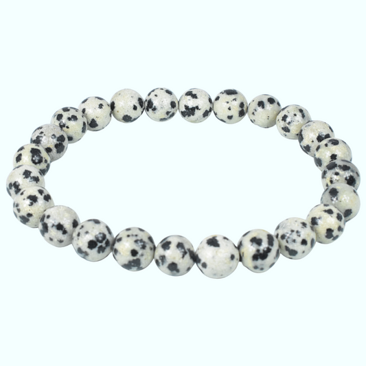 Dalmatian Jasper Bead Bracelet