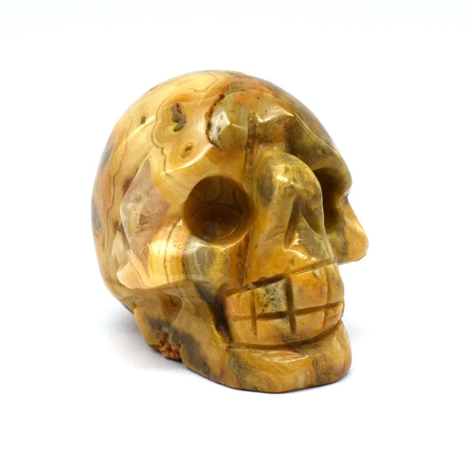 Yellow Crazy Lace Agate Crystal Skull Carving