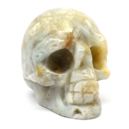 Amazonite China Crystal Skull Carving