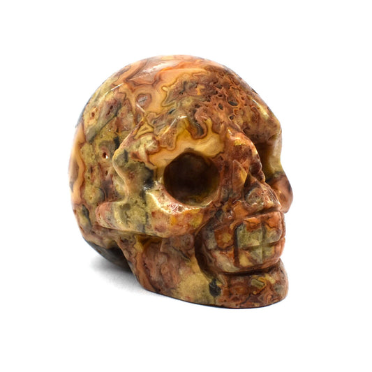 Red Crazy Lace Agate Crystal Skull Carving