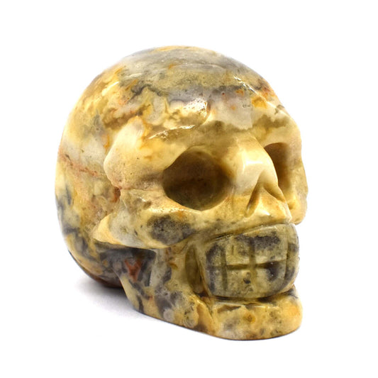 Crazy Lace Agate Crystal Skull Carving