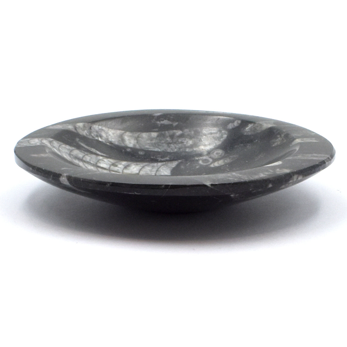 Orthoceras Bowl Carving [Medium]