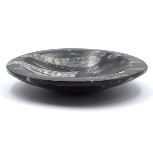 Orthoceras Bowl Carving [Medium]