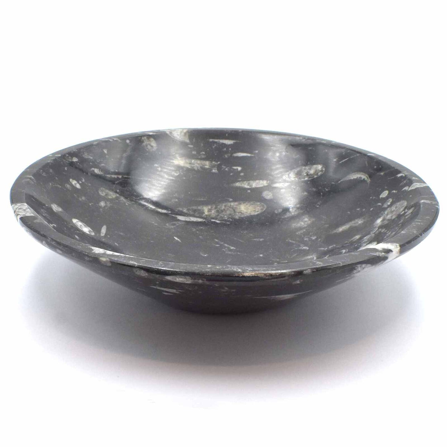 Orthoceras Bowl Carving [Extra Large]