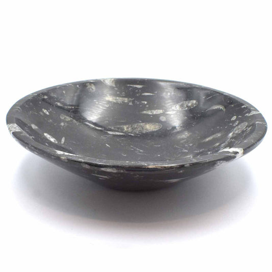 Orthoceras Bowl Carving [Extra Large]