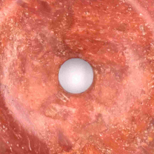 Red Coral Donut Pendant Carving