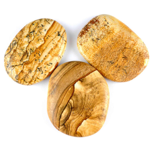 Picture Jasper Palm Stone