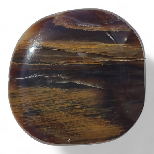 Petrified Wood Palm Stone [45-47 mm 1 pcs]