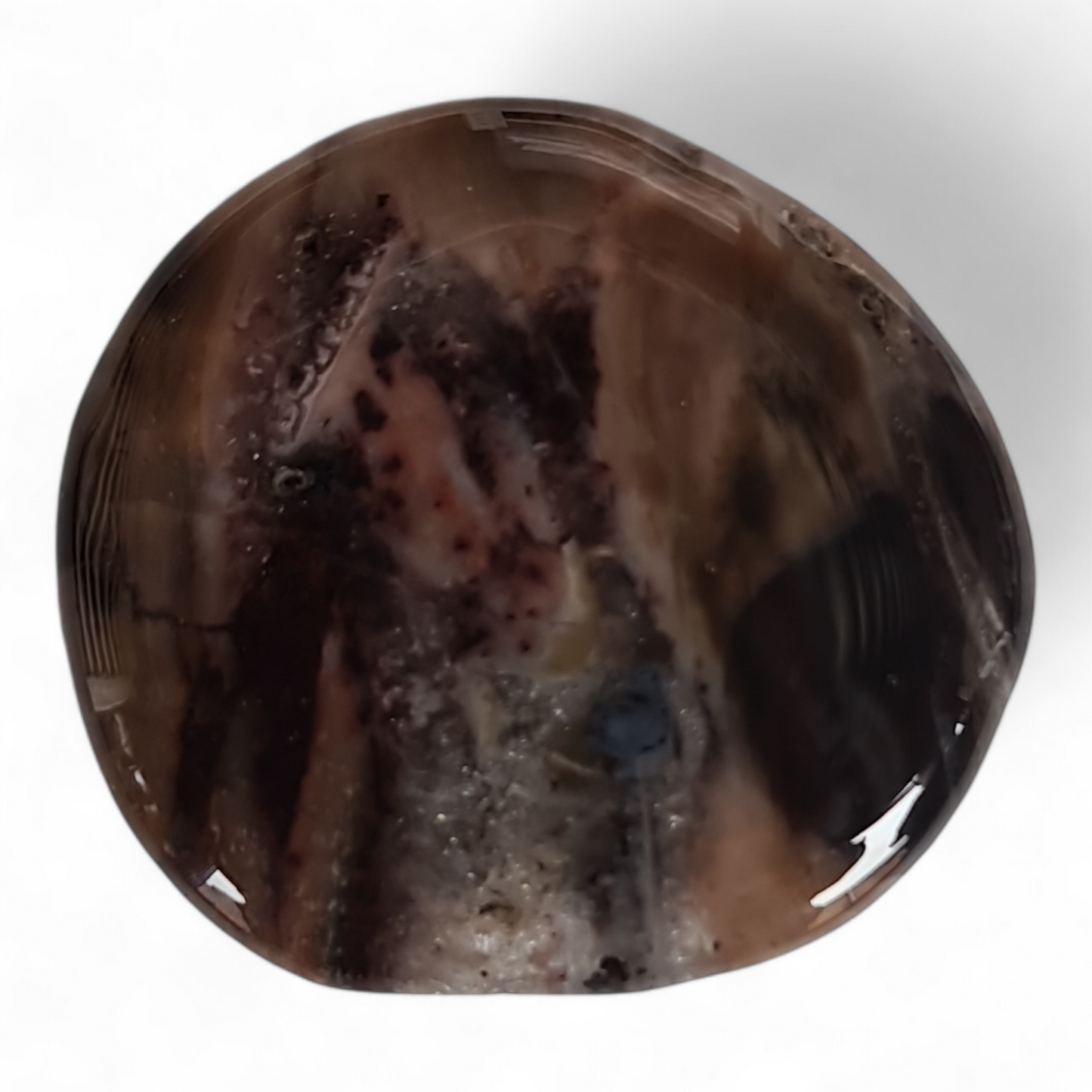 Petrified Wood Palm Stone [39-41 mm 2 pcs]