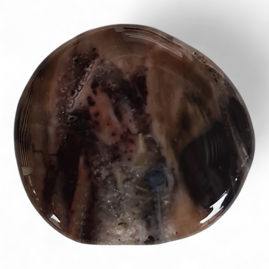 Petrified Wood Palm Stone [39-41 mm 2 pcs]