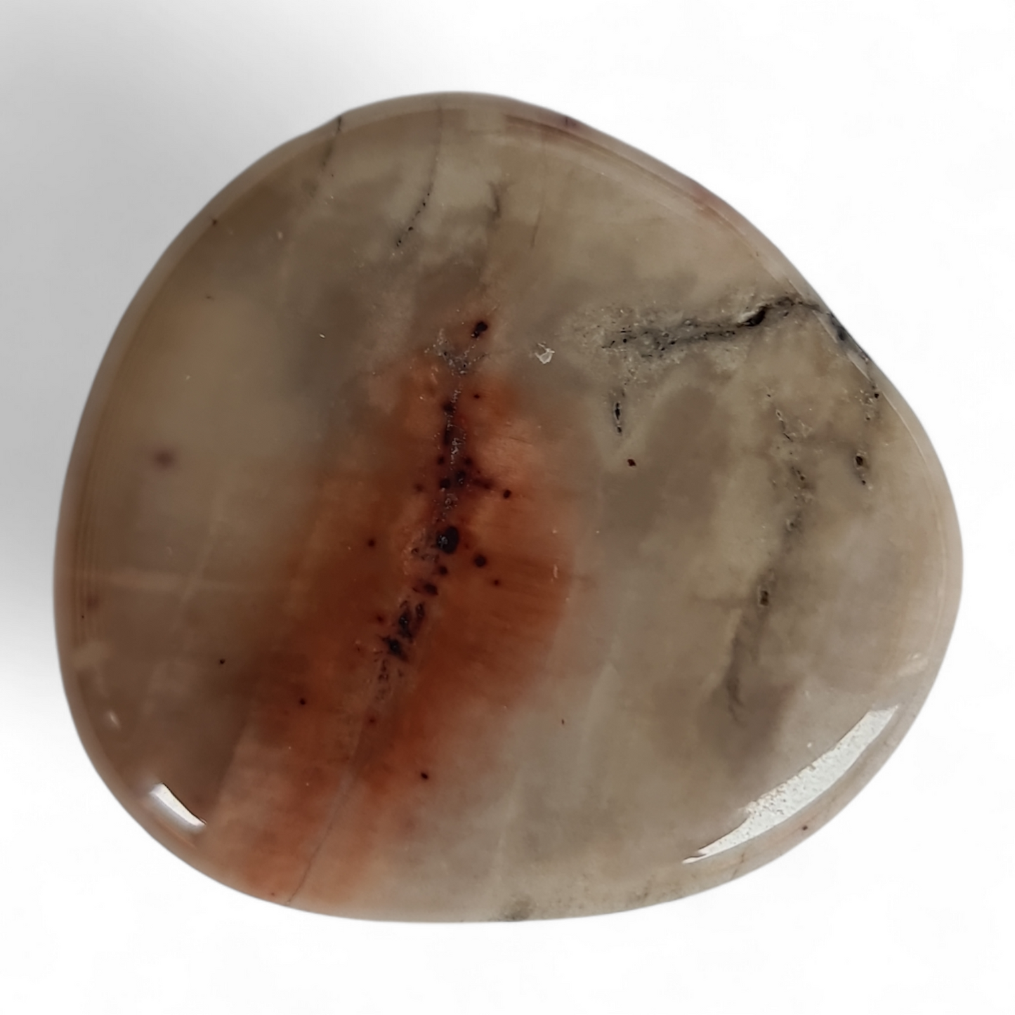 Petrified Wood Palm Stone [41-43 mm 1 pcs]