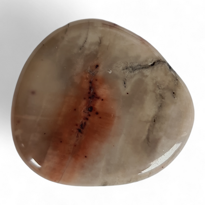 Petrified Wood Palm Stone [41-43 mm 1 pcs]