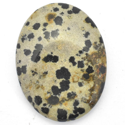 Oval Jasper Dalmatian Worry Stone