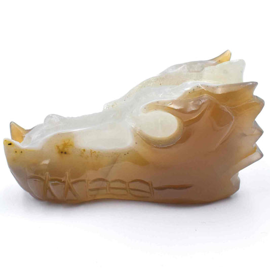 Agate Geode Dragon Head Carving