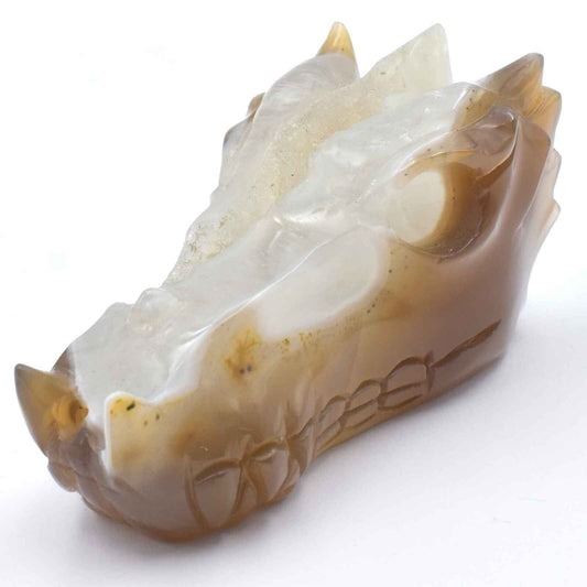 Agate Geode Dragon Head Carving