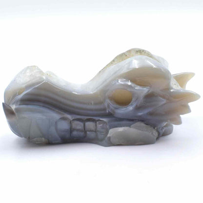 Agate Geode Dragon Head Carving