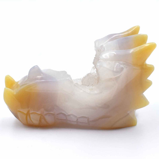Agate Geode Dragon Head Carving